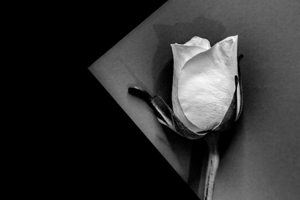 Фотография автора Ivelina Petkova