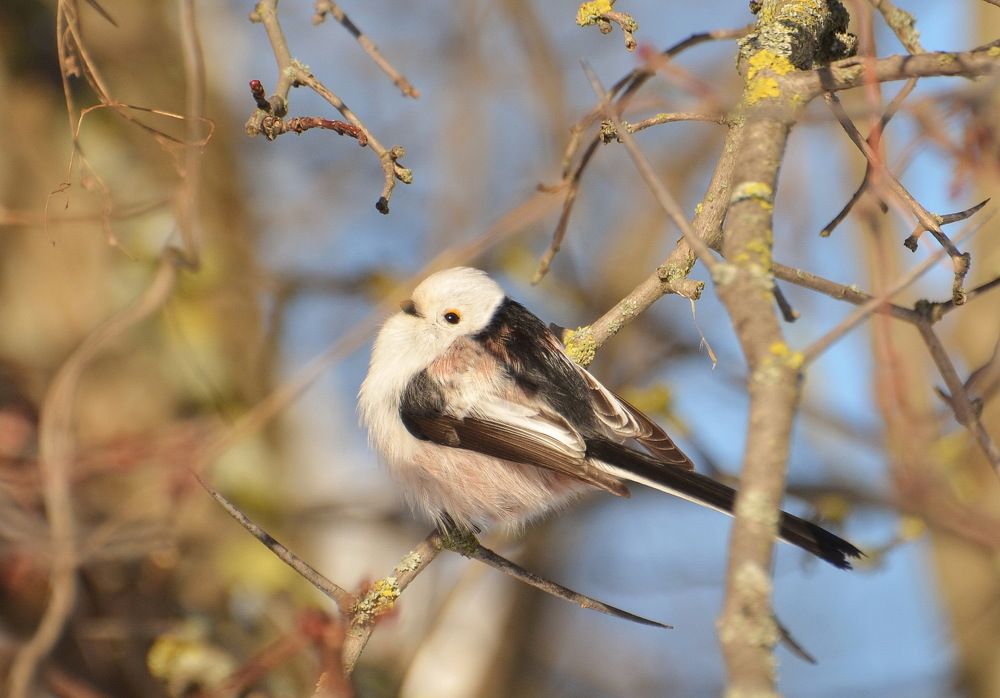 Photograph by Мария Кузьмина