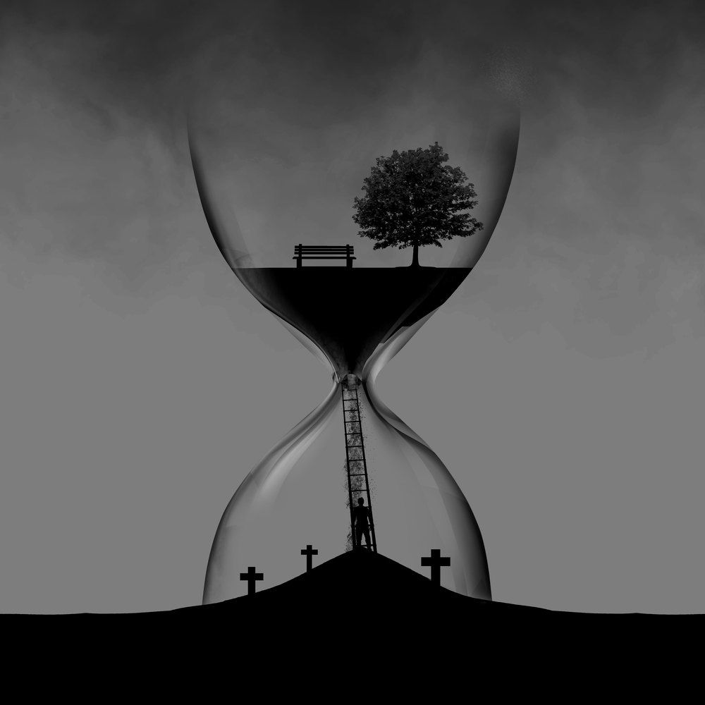 Photograph by narges jabbari