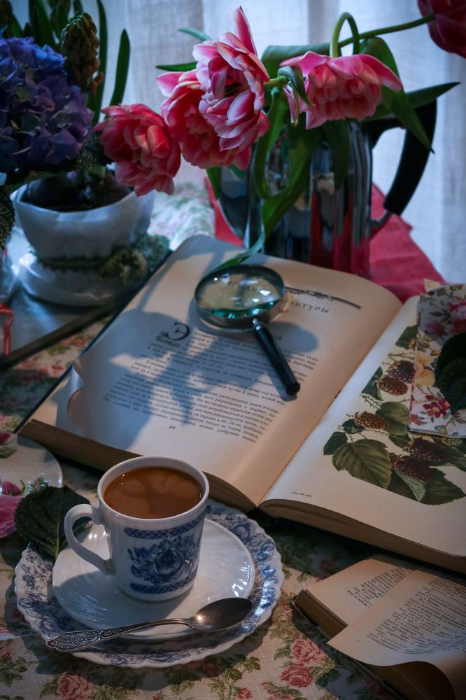 Photograph by Софья Яницкая