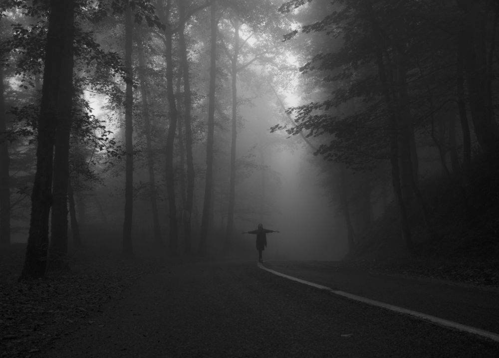 Photograph by meghdad