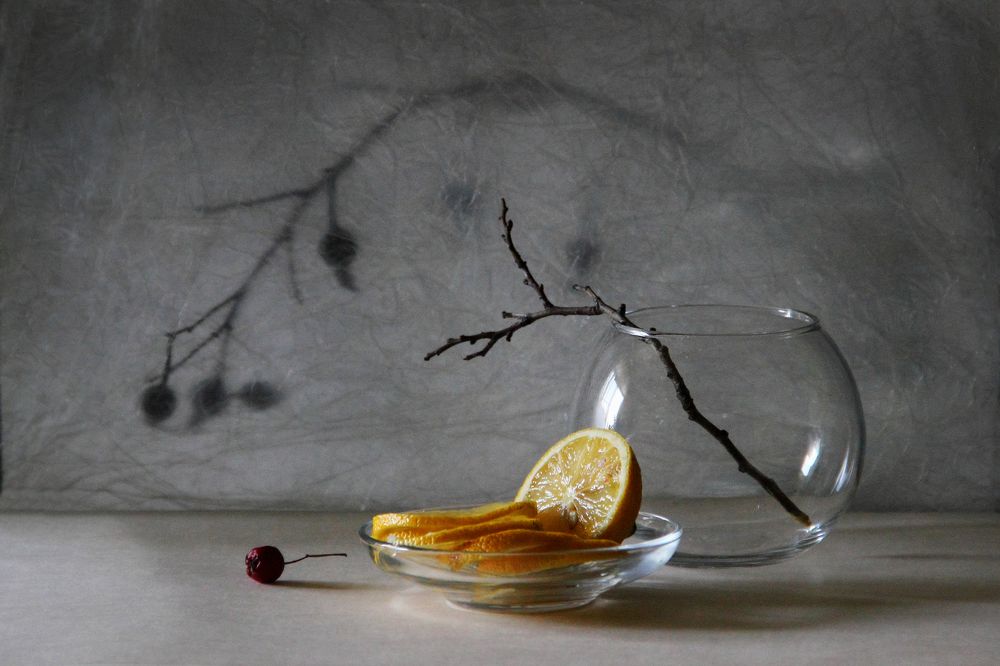 Фотография автора Дарья Шамакина