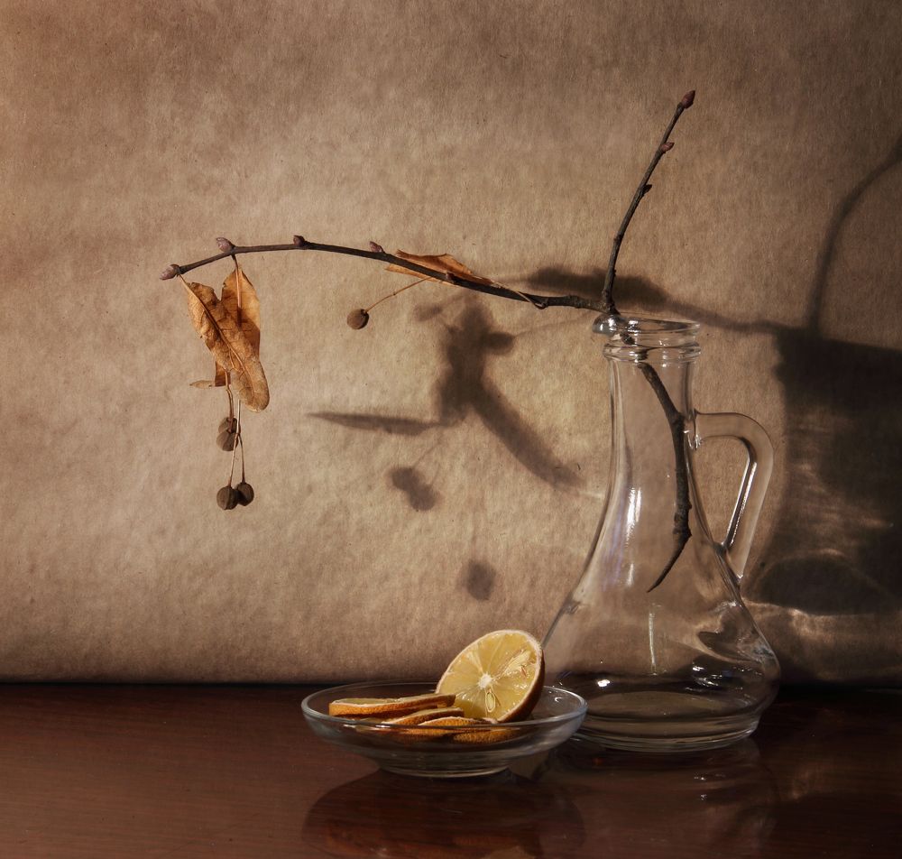 Фотография автора Дарья Шамакина