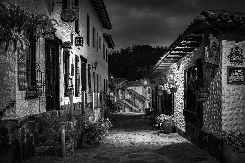 Photograph by Andrius La Rotta