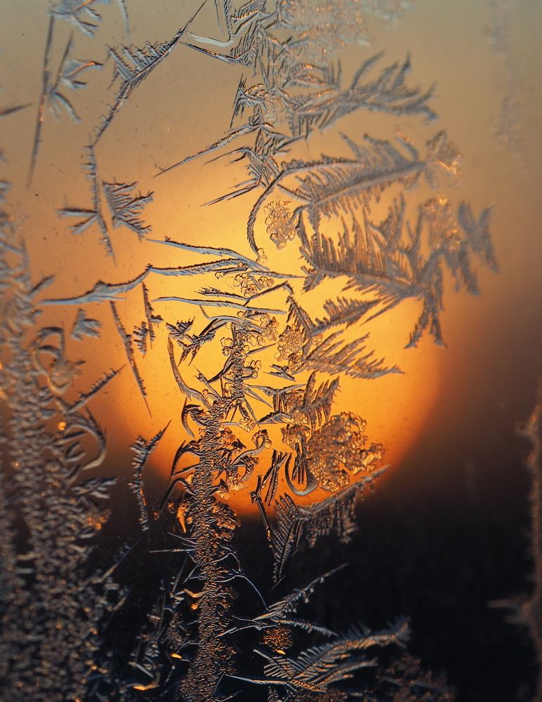 Мороз и солнце