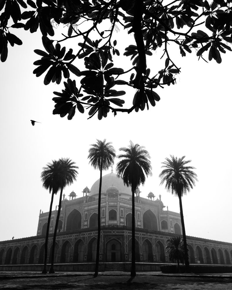 Photograph by Sudhanshu Banotiya