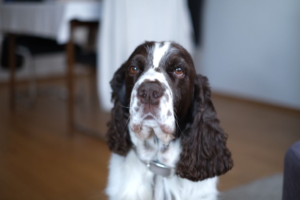 Photograph by Zeljka Dakovic