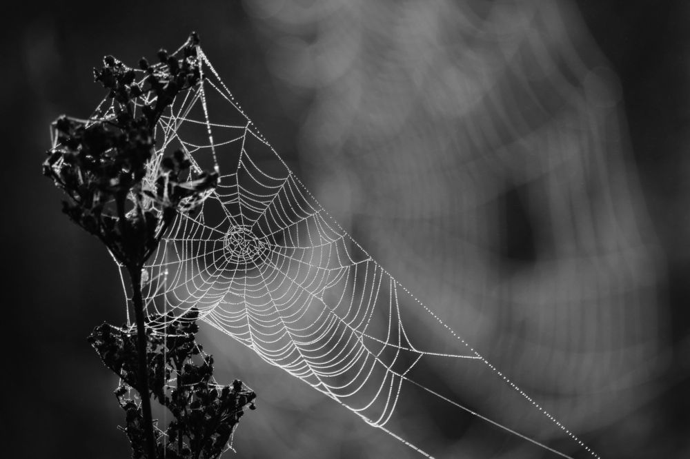 Фотография автора Дарья Шамакина