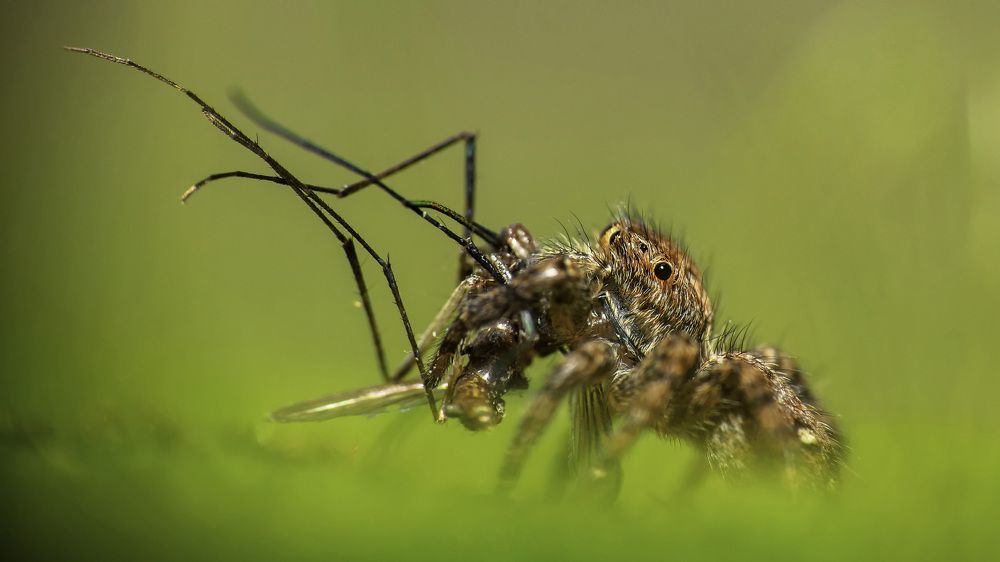 Photograph by Chaitanya Dudhalkar