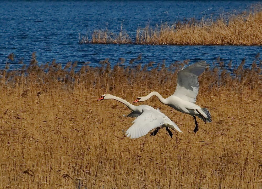 Photograph by Мария Кузьмина