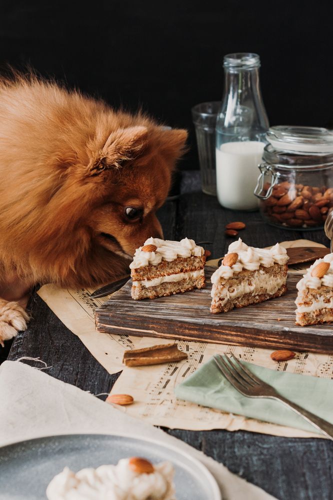 Photograph by МАРИЯ ПЕРШИНА