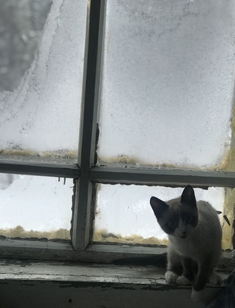 Деревенское окно