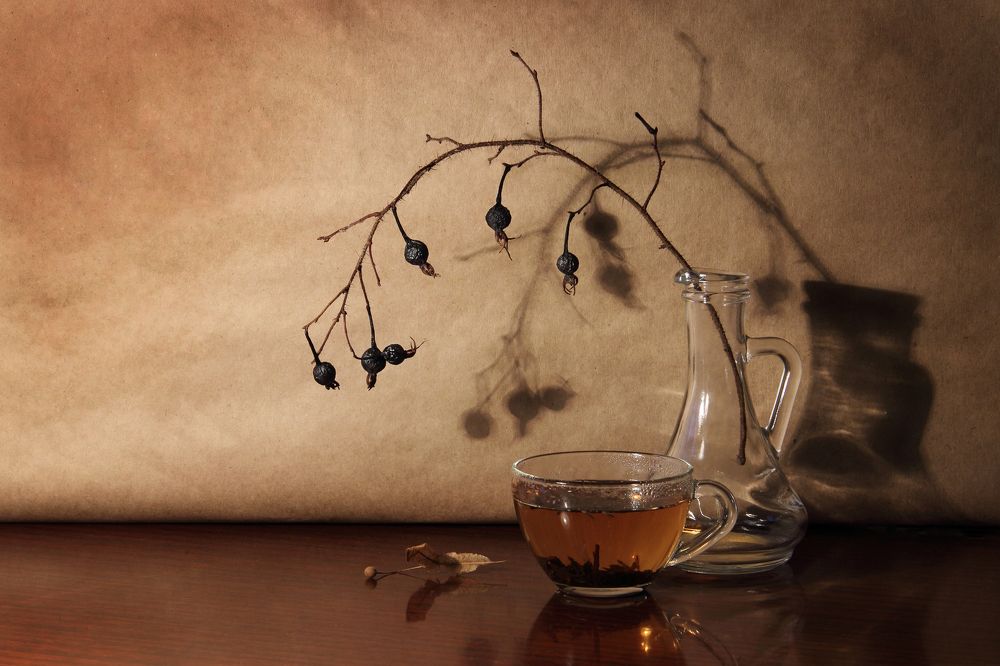 Фотография автора Дарья Шамакина