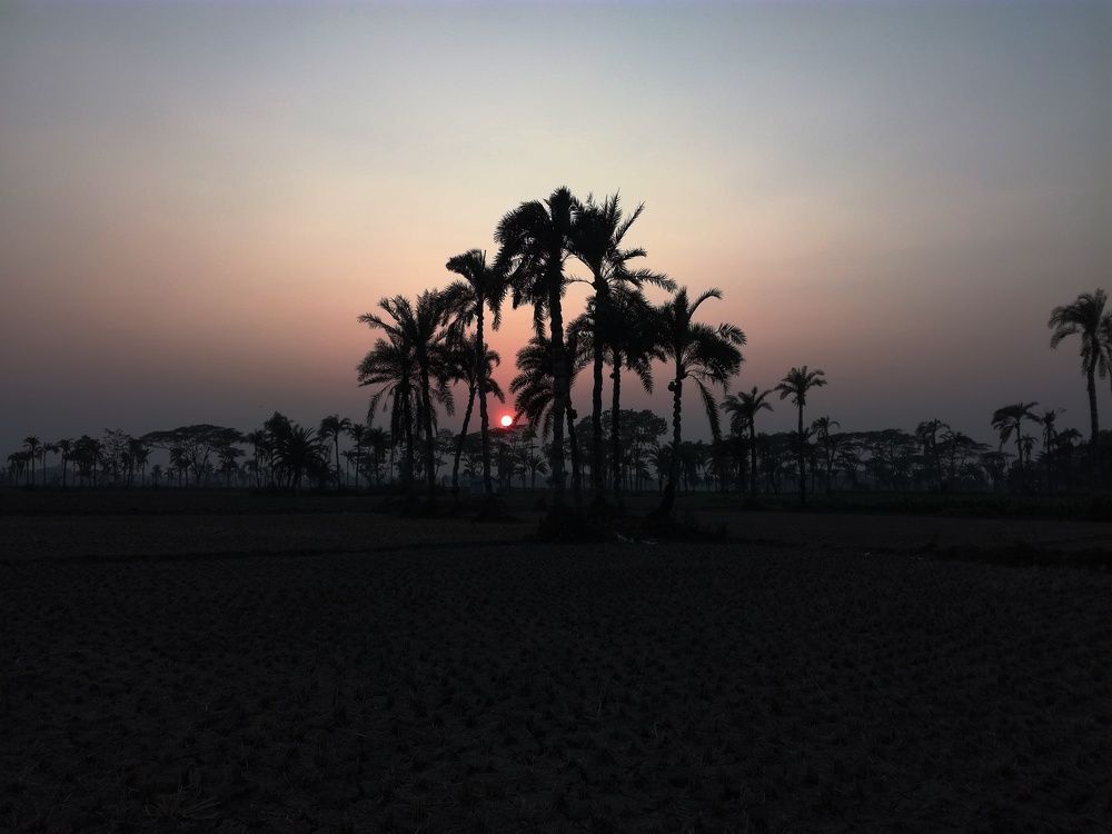 Photograph by MD.AZMOL HOSSEN