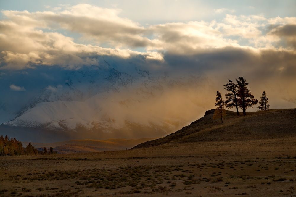 Краденное солнце