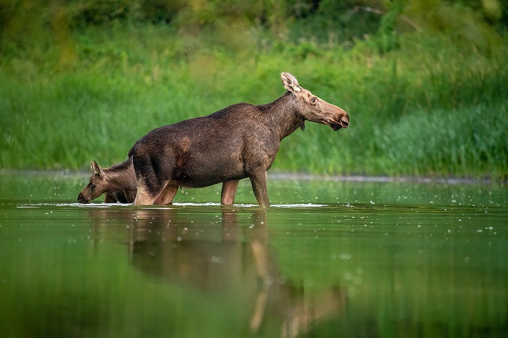 Photograph by Сергей Савви