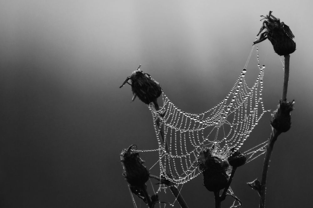 Фотография автора Дарья Шамакина