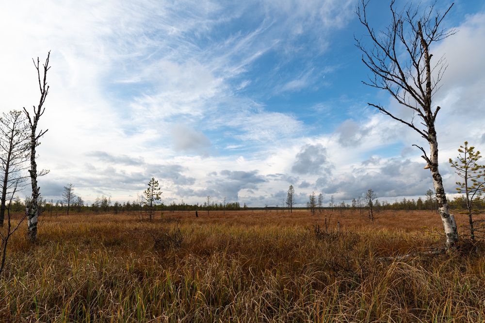 Photograph by Альбина Рычкова
