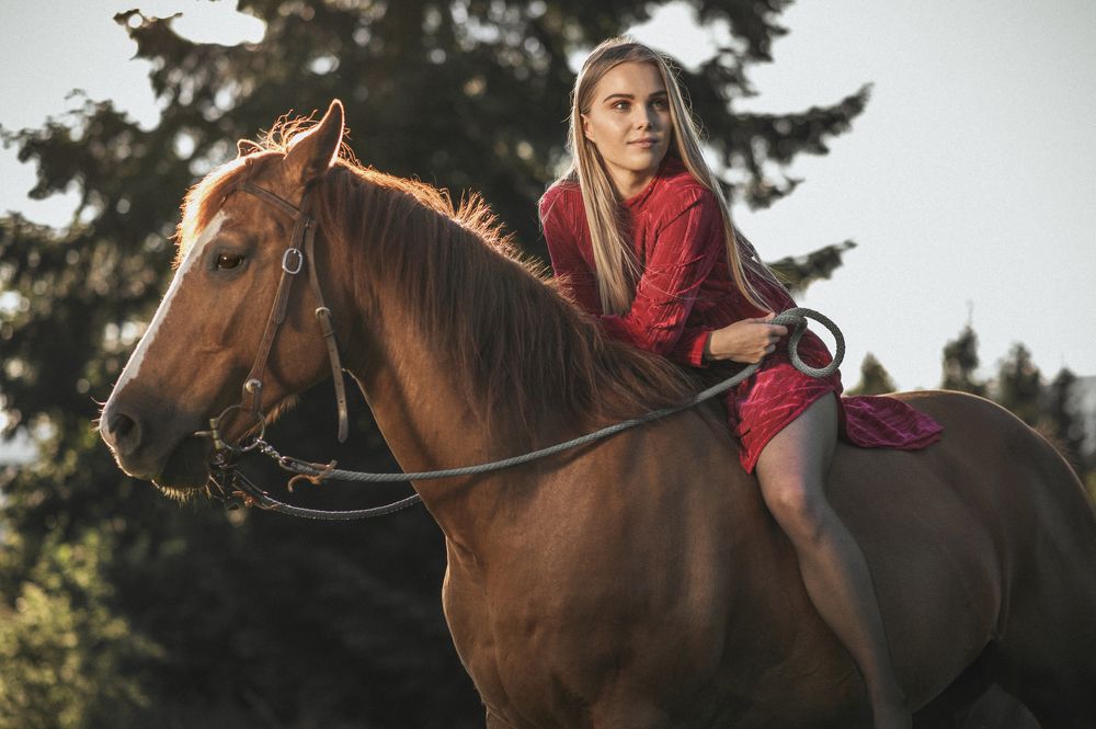 Любовь и лошади