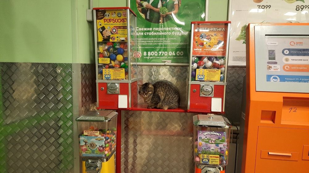 Photograph by ИГОРЬ