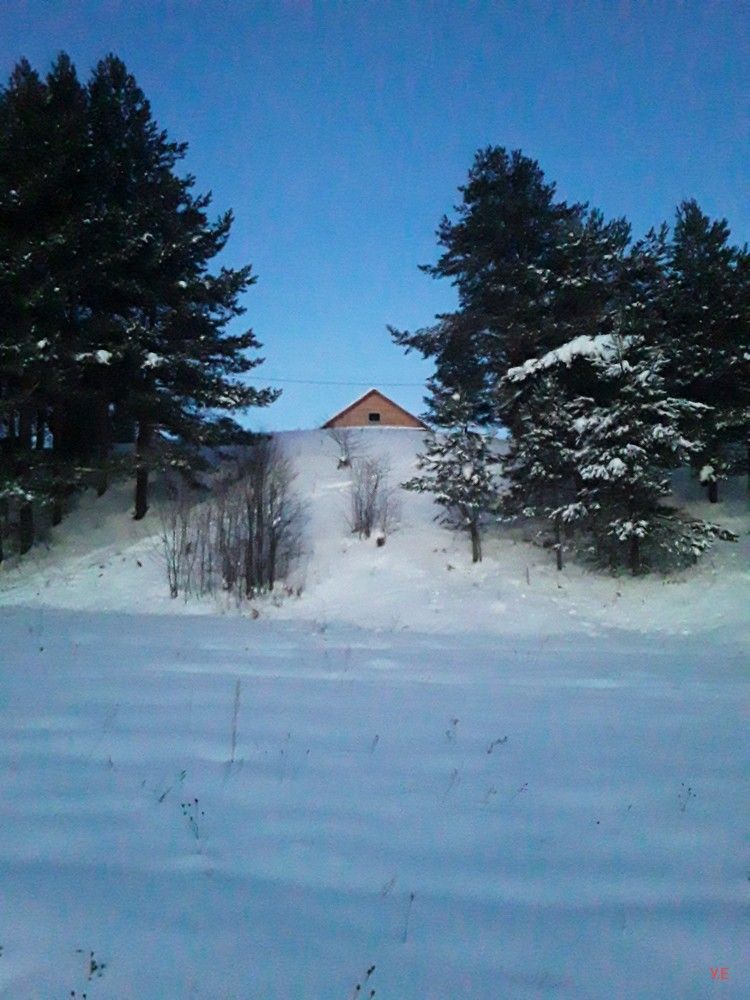 Photo #5874195