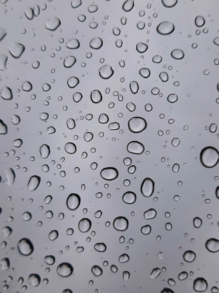 Photograph by Мария Глотова