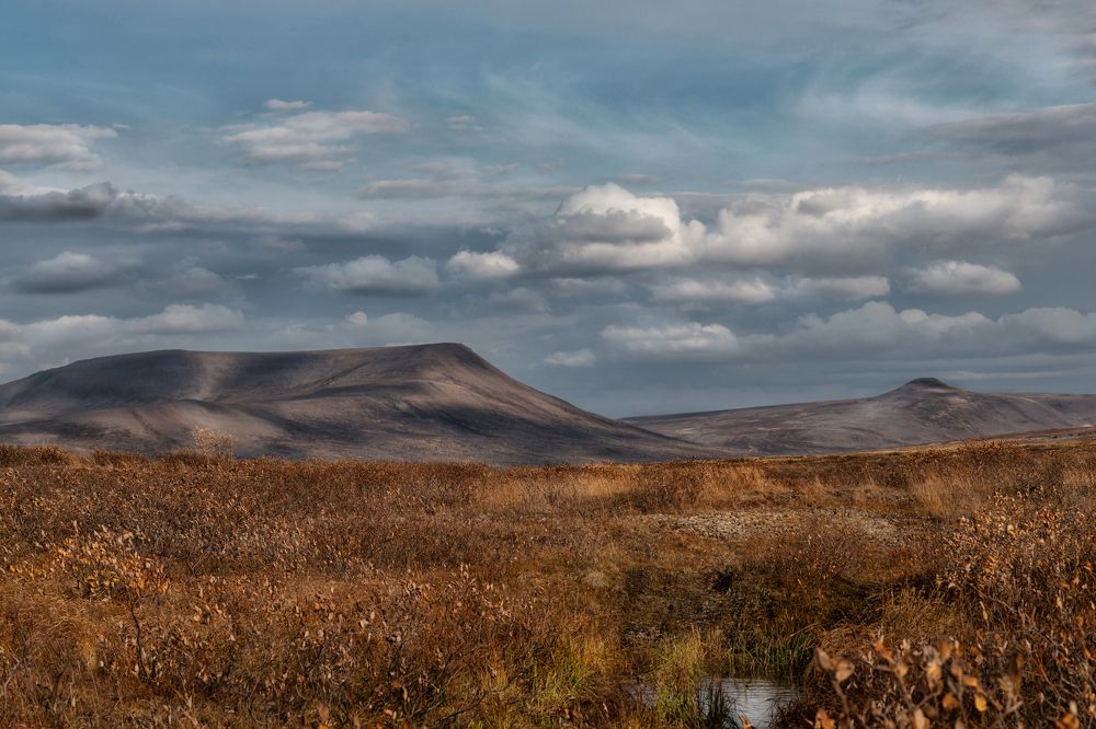 Photograph by Ирина Ульянова