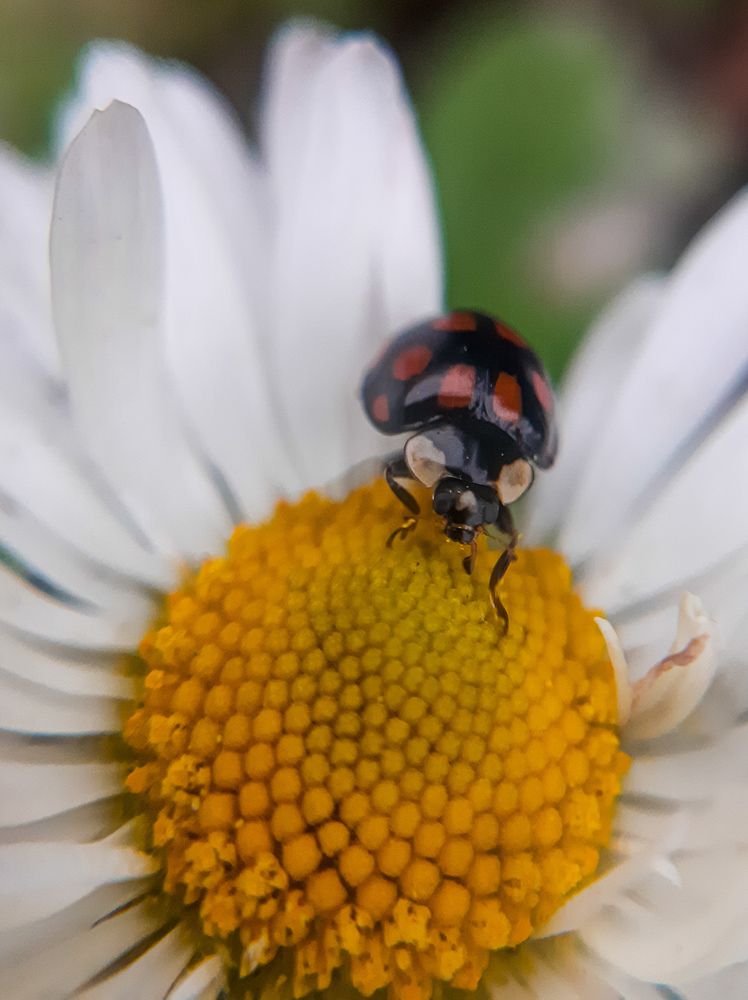 Photograph by Мария Глотова