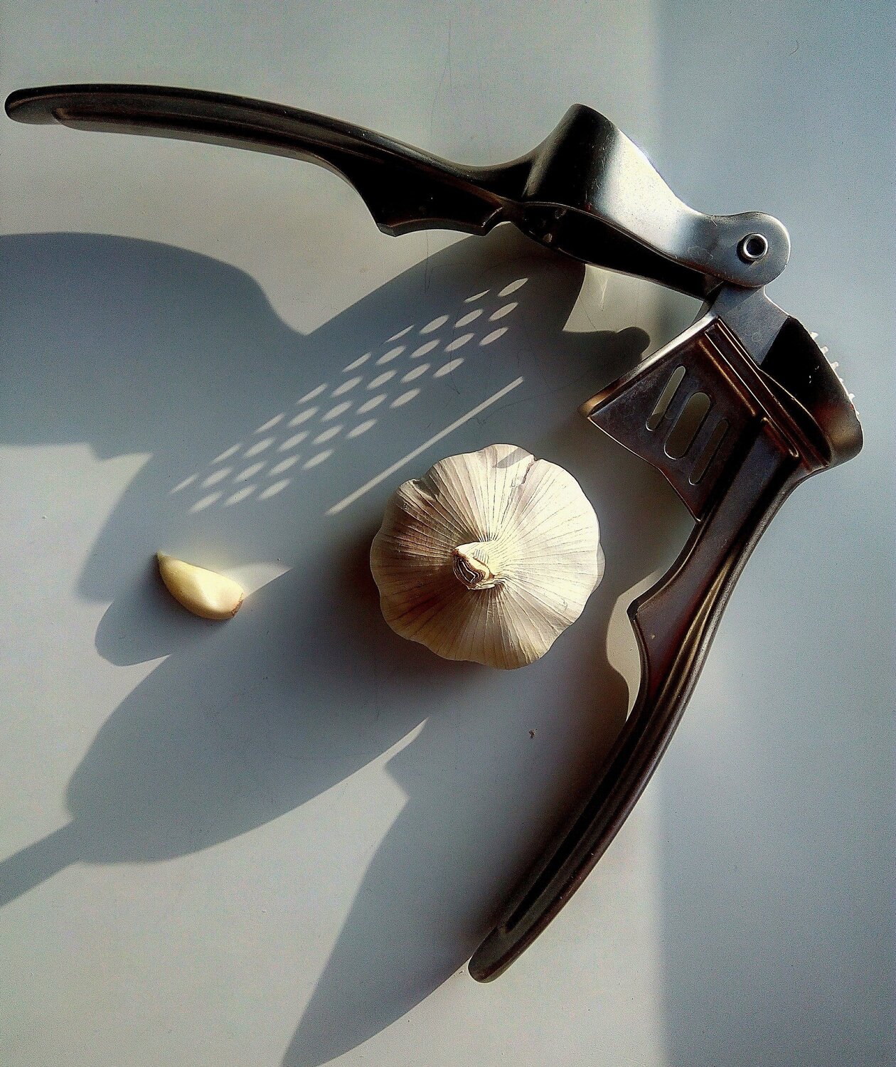 Photo #5874252