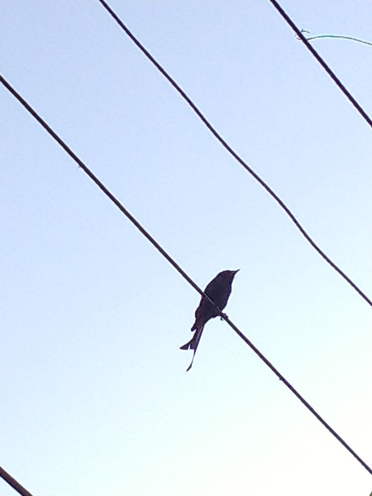 Photo #5874286