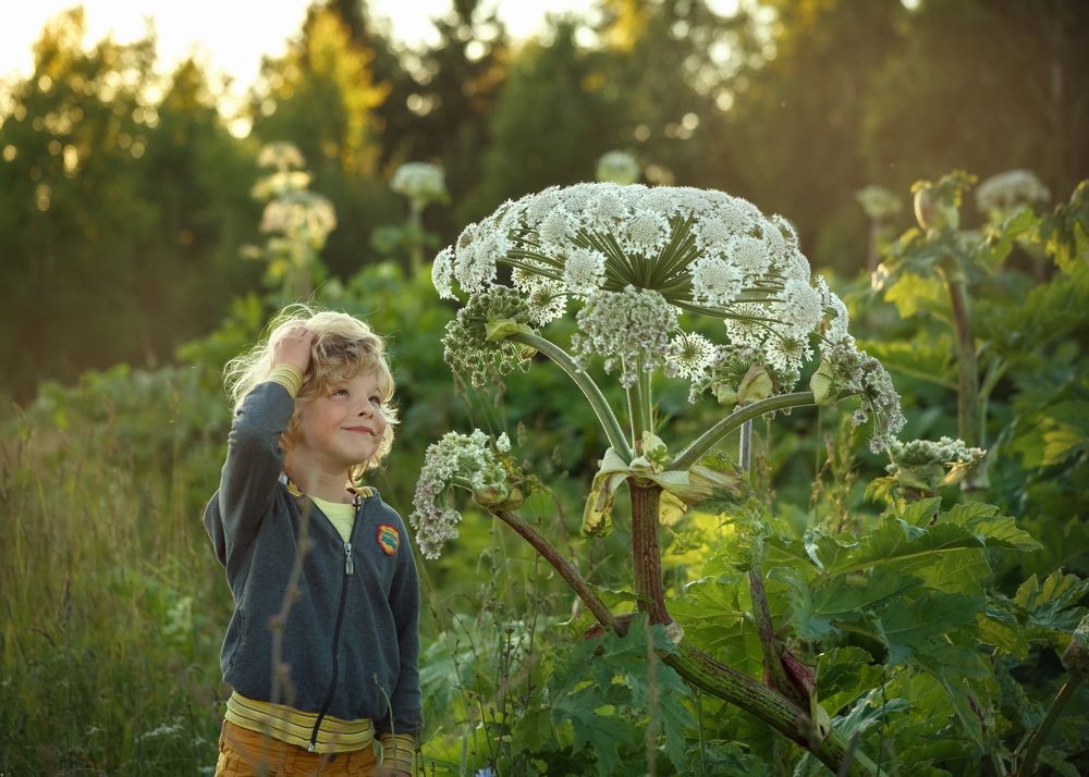 Photograph by Ирина Рассанова