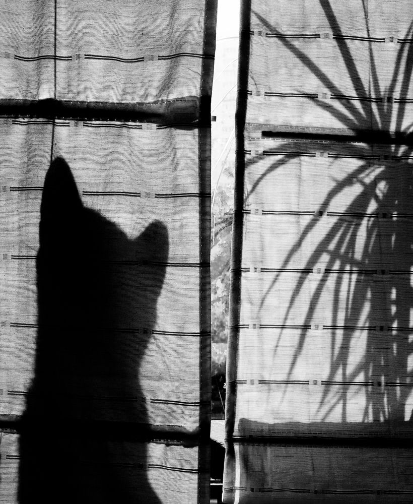 Photograph by Hanna Zapylaieva