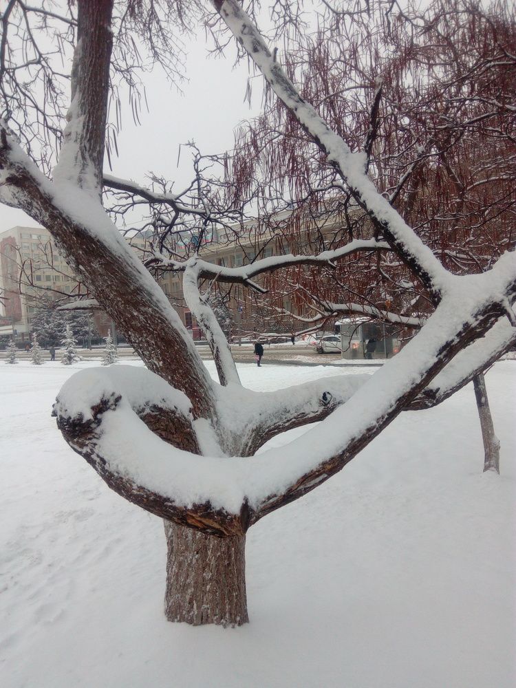 Photo #5874377