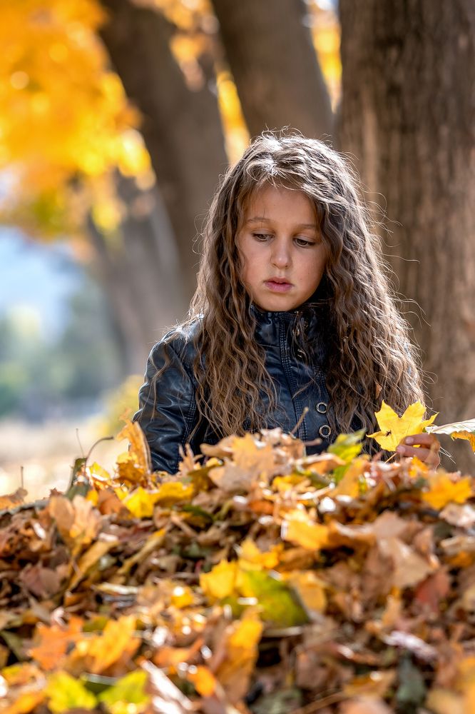 А вот и лошадь! :)