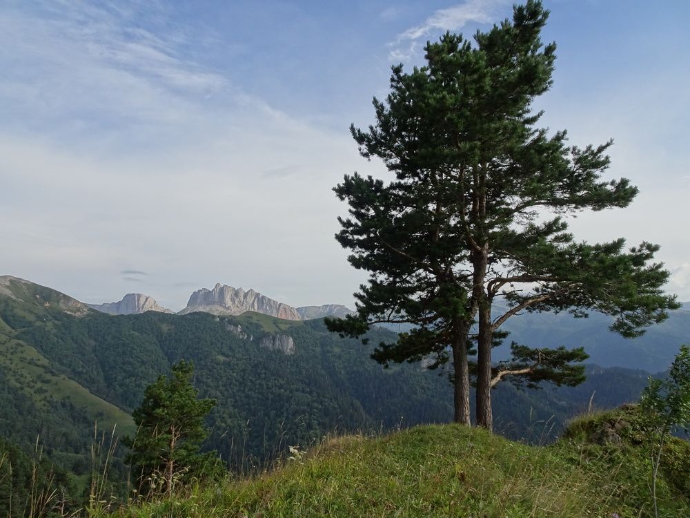 Photo #5874430