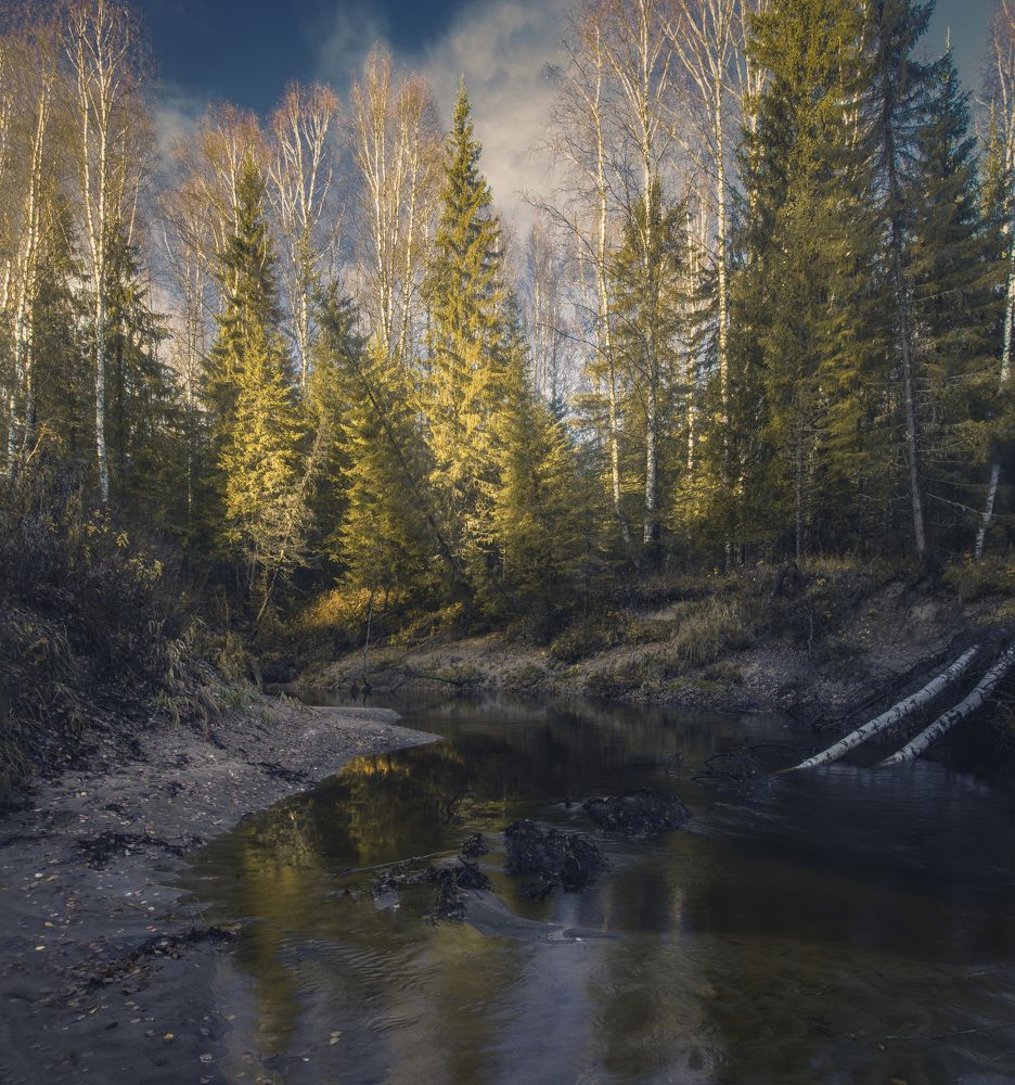 Золотая осень