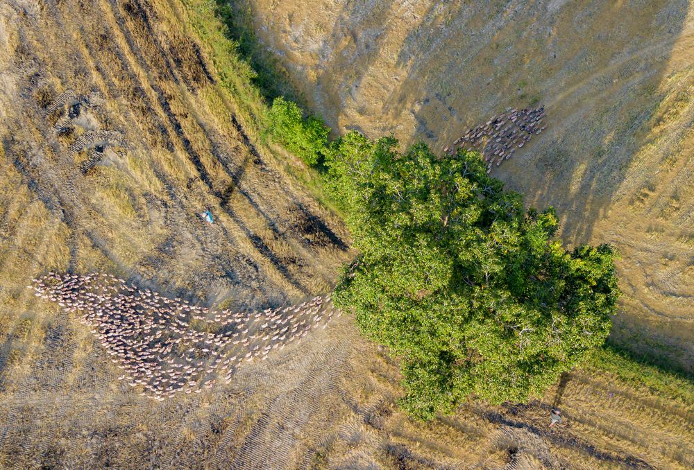 Photograph by Hoàn Thái Viết