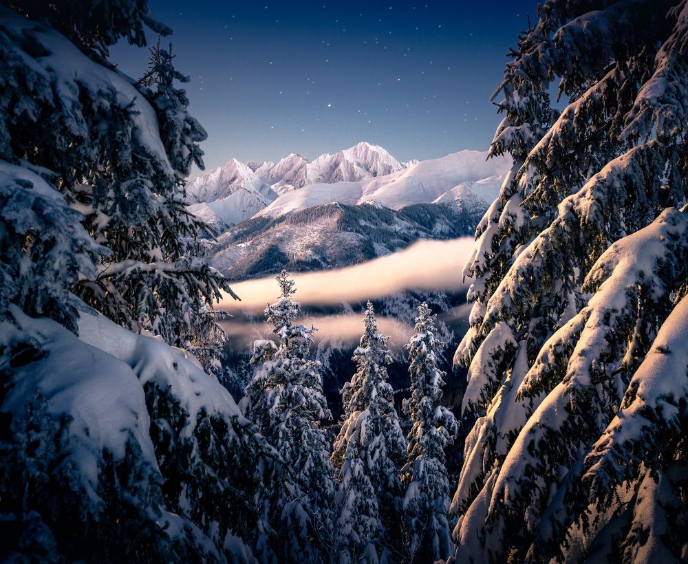 Photograph by Miroslav Mäsiar