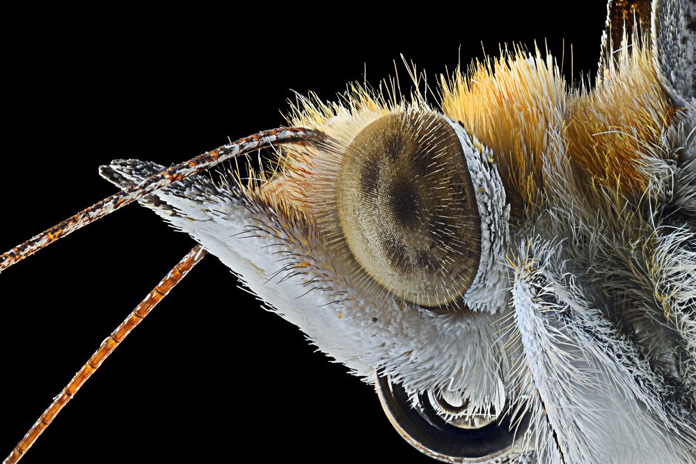 Photograph by Zain Mohamed