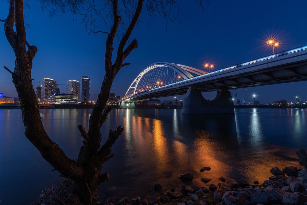 Photograph by Nexter