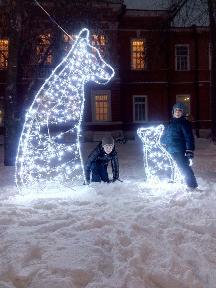 Photo #5874523