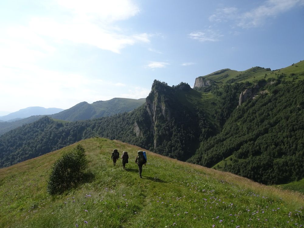 Photo #5874525
