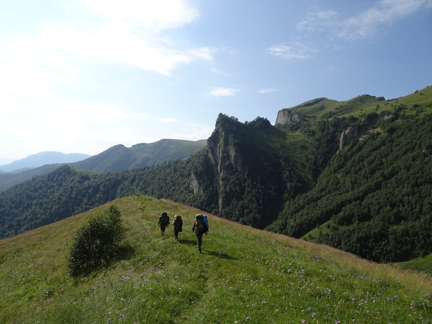 Photo #5874525