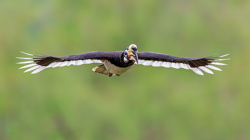 Photograph by Сергей Савви