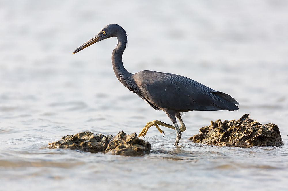 Photograph by Сергей Савви