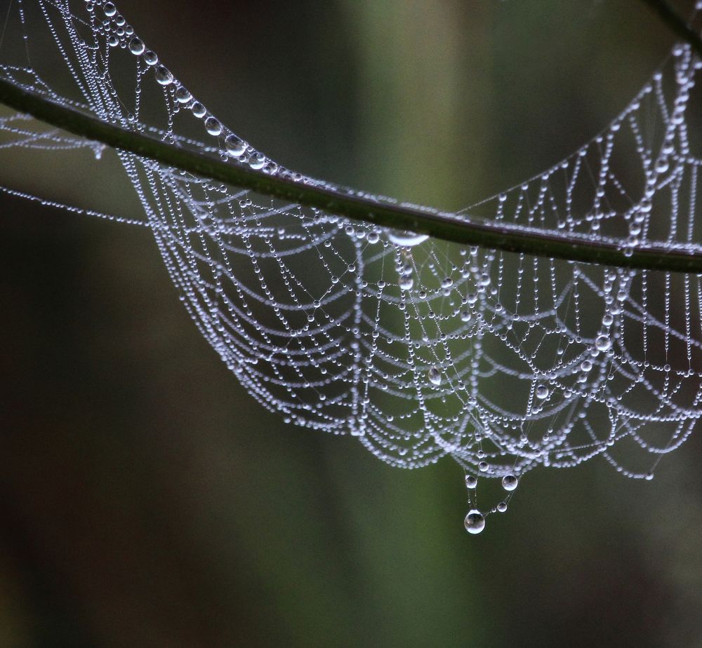 Фотография автора Дарья Шамакина
