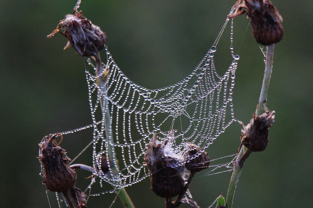 Фотография автора Дарья Шамакина