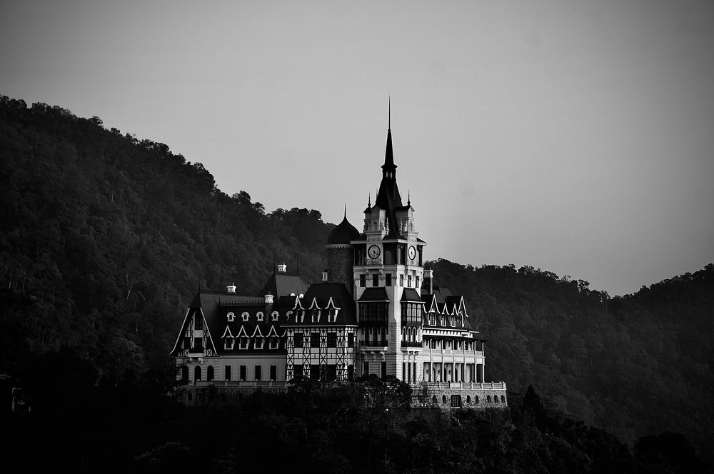 Photograph by Dung Tran