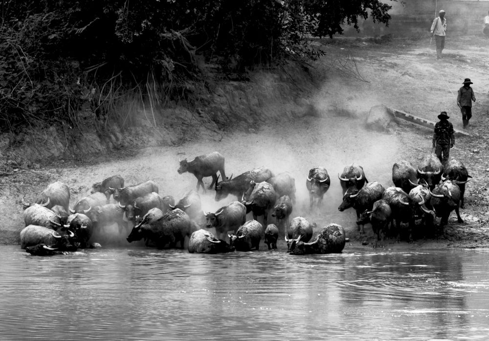 Photograph by Phạm Nghĩa