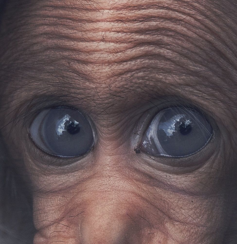 Photograph by Anirudh Vidyabhushan